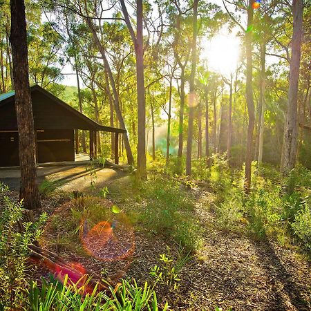 Kianinny Bush Cottages Татра Экстерьер фото